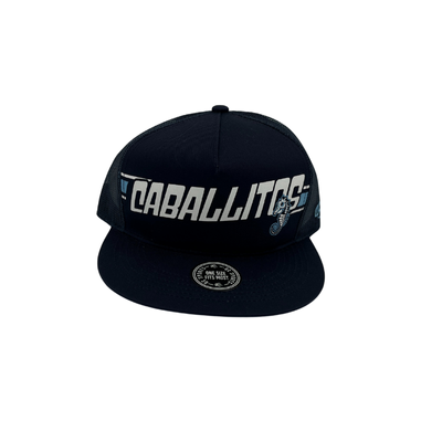 Norfolk Tides Caballitos Del Mar De Norfolk Navy Trucker Hat