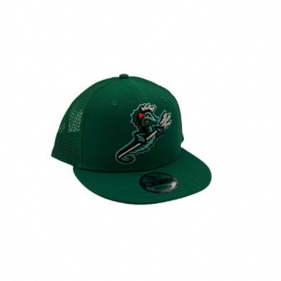 Norfolk Tides Home 3930 Flex – Norfolk Tides Team Store