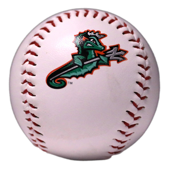 Norfolk Tides Affiliate Baseball